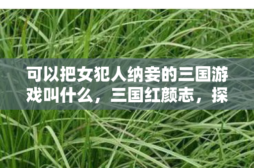 可以把女犯人纳妾的三国游戏叫什么,三国红颜志,探索历史长河中的女性角色 可以把女犯人纳妾的三国游戏叫什么,三国红颜志,探索历史长河中的女性角色