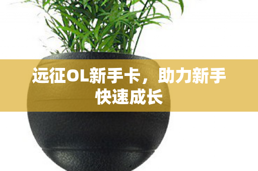 远征OL新手卡,助力新手快速成长 远征OL新手卡,助力新手快速成长