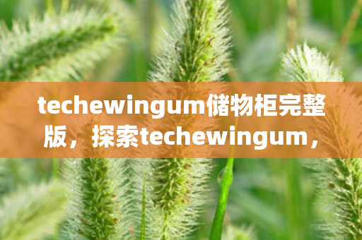 techewingum储物柜完整版,探索techewingum,解锁数字时代的创新工具 techewingum储物柜完整版,探索techewingum,解锁数字时代的创新工具