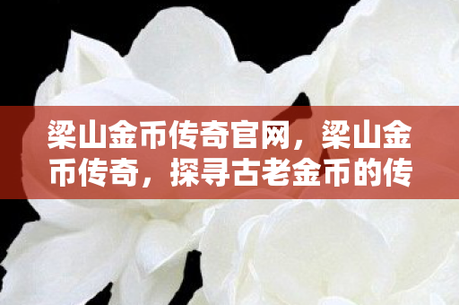 梁山金币传奇官网，梁山金币传奇，探寻古老金币的传奇故事