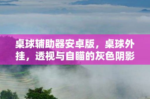 桌球辅助器安卓版，桌球外挂，透视与自瞄的灰色阴影