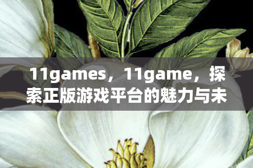 11games,11game,探索正版游戏平台的魅力与未来 11games,11game,探索正版游戏平台的魅力与未来