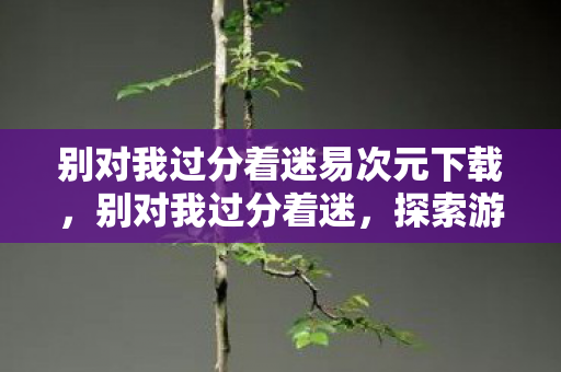 别对我过分着迷易次元下载,别对我过分着迷,探索游戏世界的多元体验与官方授权的边界 别对我过分着迷易次元下载,别对我过分着迷,探索游戏世界的多元体验与官方授权的边界