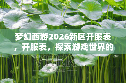 梦幻西游2026新区开服表,开服表,探索游戏世界的无限可能 梦幻西游2026新区开服表,开服表,探索游戏世界的无限可能