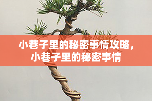 小巷子里的秘密事情攻略,小巷子里的秘密事情 小巷子里的秘密事情攻略,小巷子里的秘密事情