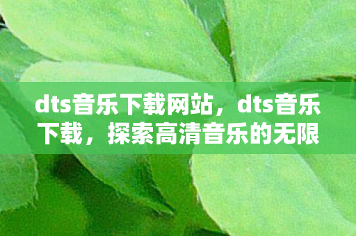 dts音乐下载网站,dts音乐下载,探索高清音乐的无限可能 dts音乐下载网站,dts音乐下载,探索高清音乐的无限可能