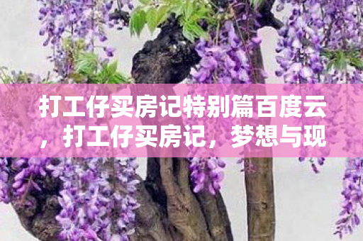 打工仔买房记特别篇百度云,打工仔买房记,梦想与现实的交织 打工仔买房记特别篇百度云,打工仔买房记,梦想与现实的交织