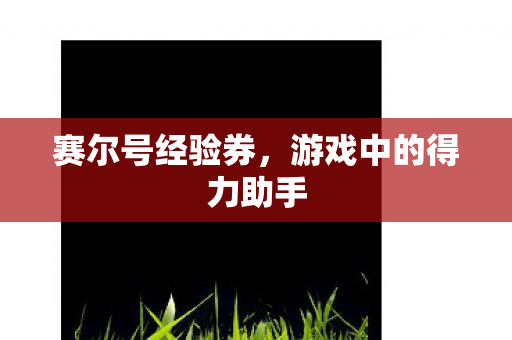 赛尔号经验券,游戏中的得力助手 赛尔号经验券,游戏中的得力助手