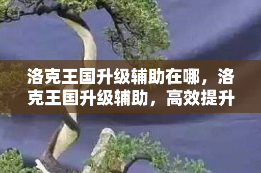 洛克王国升级辅助在哪,洛克王国升级辅助,高效提升你的游戏实力 洛克王国升级辅助在哪,洛克王国升级辅助,高效提升你的游戏实力