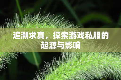 追溯求真，探索游戏私服的起源与影响