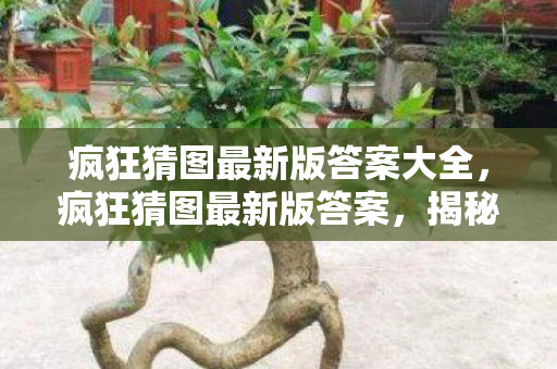 疯狂猜图最新版答案大全,疯狂猜图最新版答案,揭秘神秘图案背后的故事 疯狂猜图最新版答案大全,疯狂猜图最新版答案,揭秘神秘图案背后的故事