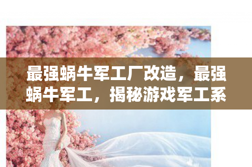 最强蜗牛军工厂改造,最强蜗牛军工,揭秘游戏军工系统的深度解析 最强蜗牛军工厂改造,最强蜗牛军工,揭秘游戏军工系统的深度解析