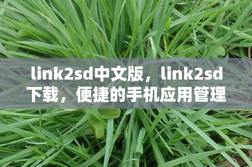link2sd中文版，link2sd下载，便捷的手机应用管理新体验