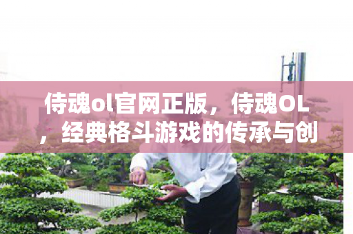 侍魂ol官网正版,侍魂OL,经典格斗游戏的传承与创新 侍魂ol官网正版,侍魂OL,经典格斗游戏的传承与创新