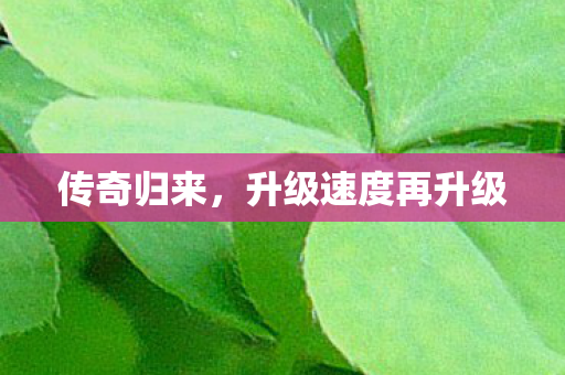传奇归来,升级速度再升级 传奇归来,升级速度再升级