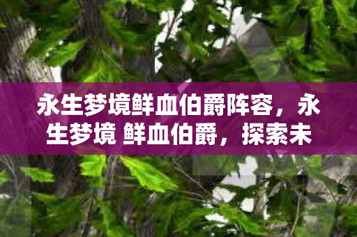 永生梦境鲜血伯爵阵容，永生梦境 鲜血伯爵，探索未知世界的奇幻之旅