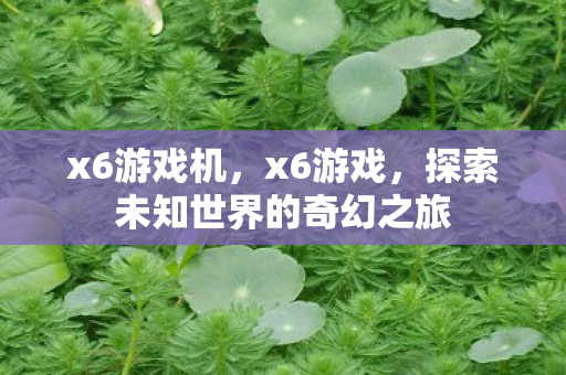 x6游戏机，x6游戏，探索未知世界的奇幻之旅