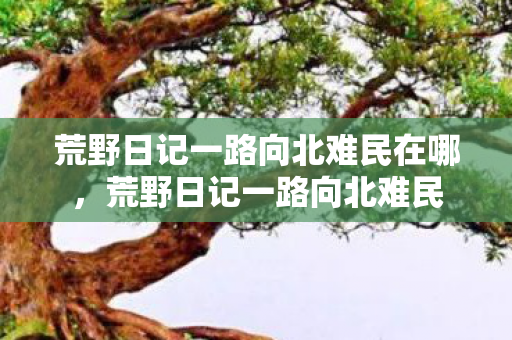 荒野日记一路向北难民在哪，荒野日记一路向北难民