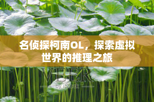 名侦探柯南OL,探索虚拟世界的推理之旅 名侦探柯南OL,探索虚拟世界的推理之旅