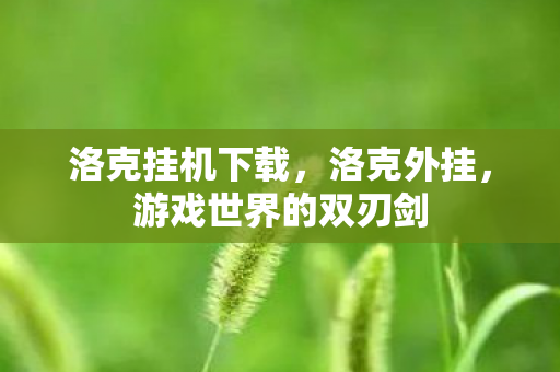 洛克挂机下载，洛克外挂，游戏世界的双刃剑