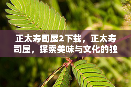 正太寿司屋2下载,正太寿司屋,探索美味与文化的独特交汇点 正太寿司屋2下载,正太寿司屋,探索美味与文化的独特交汇点