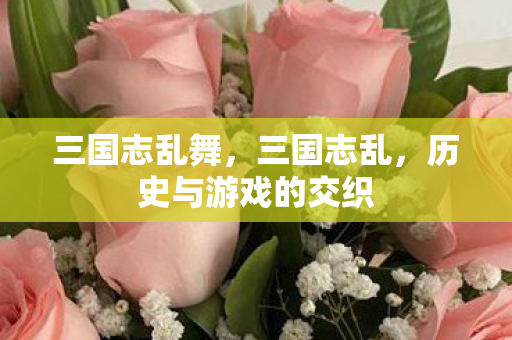三国志乱舞,三国志乱,历史与游戏的交织 三国志乱舞,三国志乱,历史与游戏的交织
