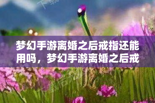梦幻手游离婚之后戒指还能用吗，梦幻手游离婚之后戒指，情感与虚拟财产的双重考量