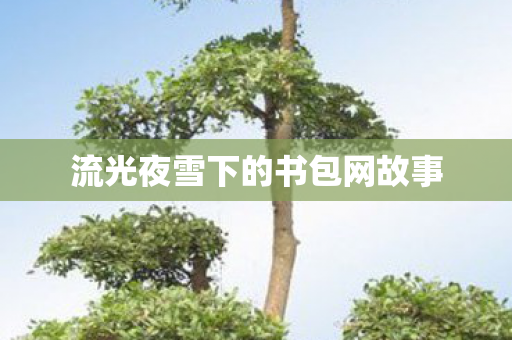 流光夜雪下的书包网故事