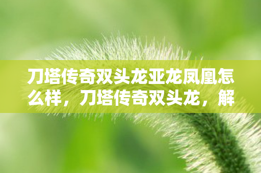 刀塔传奇双头龙亚龙凤凰怎么样,刀塔传奇双头龙,解析其独特技能与战斗策略 刀塔传奇双头龙亚龙凤凰怎么样,刀塔传奇双头龙,解析其独特技能与战斗策略
