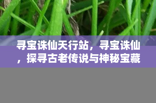寻宝诛仙天行站,寻宝诛仙,探寻古老传说与神秘宝藏的奇幻之旅 寻宝诛仙天行站,寻宝诛仙,探寻古老传说与神秘宝藏的奇幻之旅