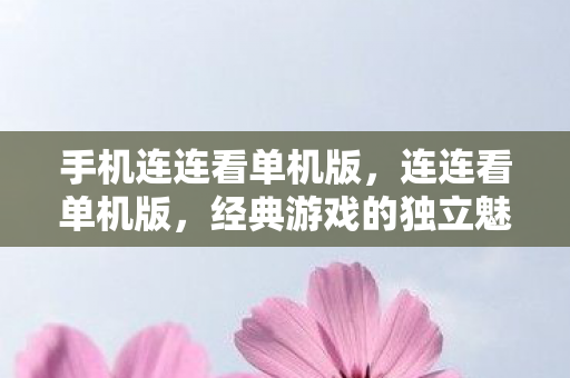 手机连连看单机版，连连看单机版，经典游戏的独立魅力与无限乐趣