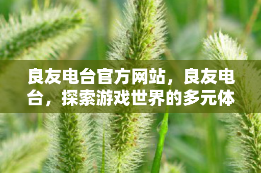 良友电台官方网站，良友电台，探索游戏世界的多元体验