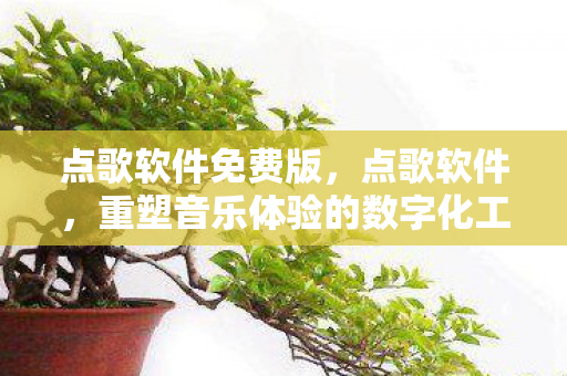 点歌软件免费版，点歌软件，重塑音乐体验的数字化工具