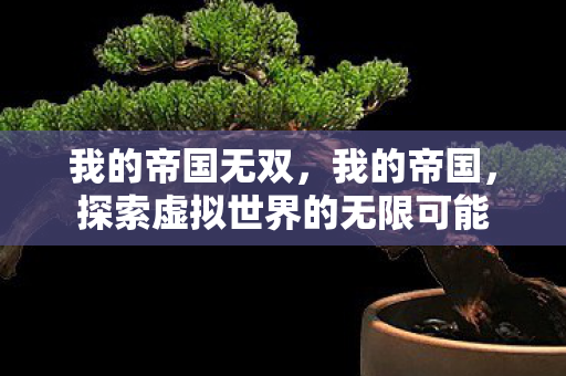 我的帝国无双,我的帝国,探索虚拟世界的无限可能 我的帝国无双,我的帝国,探索虚拟世界的无限可能
