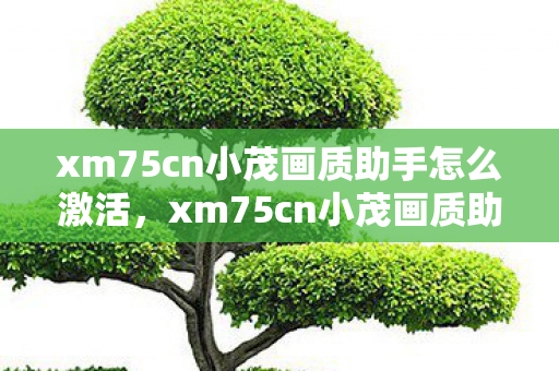 xm75cn小茂画质助手怎么激活,xm75cn小茂画质助手,提升游戏体验的画质优化利器 xm75cn小茂画质助手怎么激活,xm75cn小茂画质助手,提升游戏体验的画质优化利器