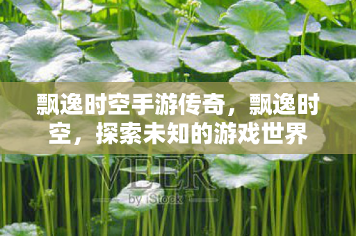 飘逸时空手游传奇,飘逸时空,探索未知的游戏世界 飘逸时空手游传奇,飘逸时空,探索未知的游戏世界