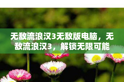 无敌流浪汉3无敌版电脑,无敌流浪汉3,解锁无限可能的冒险之旅 无敌流浪汉3无敌版电脑,无敌流浪汉3,解锁无限可能的冒险之旅