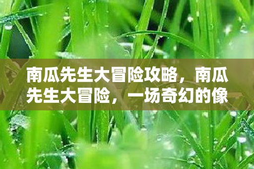 南瓜先生大冒险攻略,南瓜先生大冒险,一场奇幻的像素世界之旅 南瓜先生大冒险攻略,南瓜先生大冒险,一场奇幻的像素世界之旅