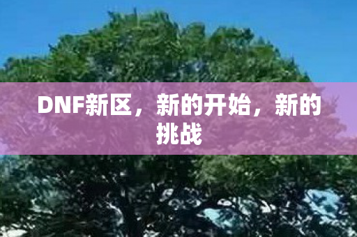 DNF新区,新的开始,新的挑战 DNF新区,新的开始,新的挑战