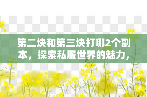 第二块和第三块打哪2个副本，探索私服世界的魅力，合法合规的私人服务器体验