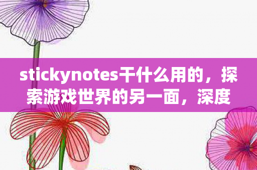 stickynotes干什么用的，探索游戏世界的另一面，深度解析游戏服务器的多样性与服务优化