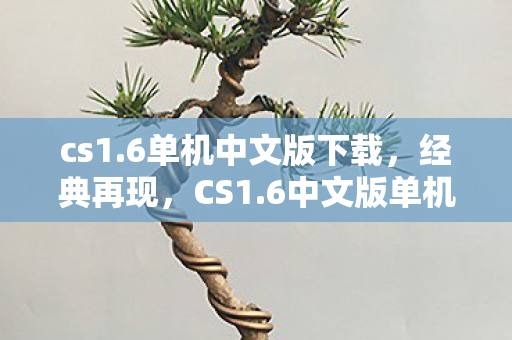 6中文版单机版的魅力与回忆图片