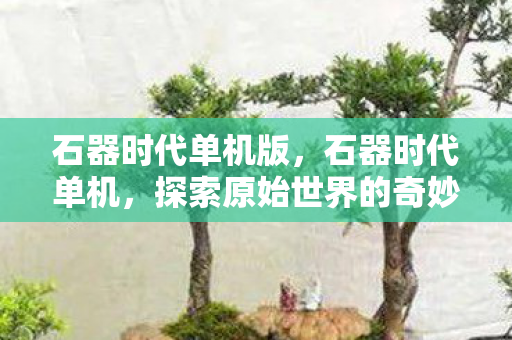 石器时代单机版,石器时代单机,探索原始世界的奇妙之旅 石器时代单机版,石器时代单机,探索原始世界的奇妙之旅