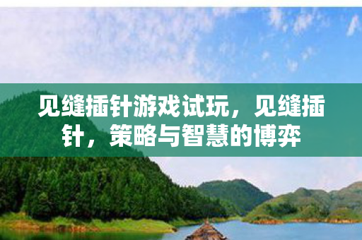 见缝插针游戏试玩图片