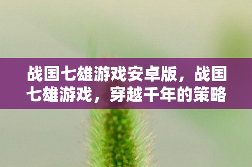 战国七雄游戏安卓版，战国七雄游戏，穿越千年的策略对决
