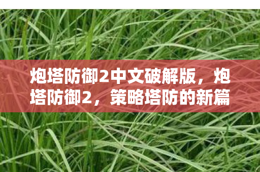 炮塔防御2中文破解版,炮塔防御2,策略塔防的新篇章 炮塔防御2中文破解版,炮塔防御2,策略塔防的新篇章