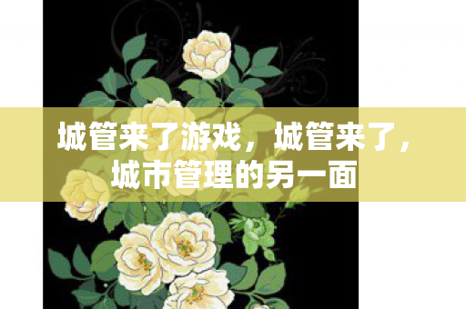 城管来了游戏,城管来了,城市管理的另一面 城管来了游戏,城管来了,城市管理的另一面