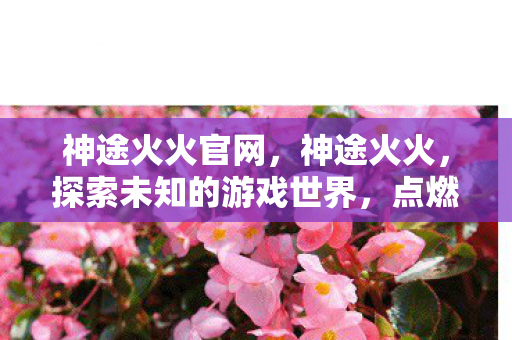 神途火火官网,神途火火,探索未知的游戏世界,点燃你的冒险激情 神途火火官网,神途火火,探索未知的游戏世界,点燃你的冒险激情