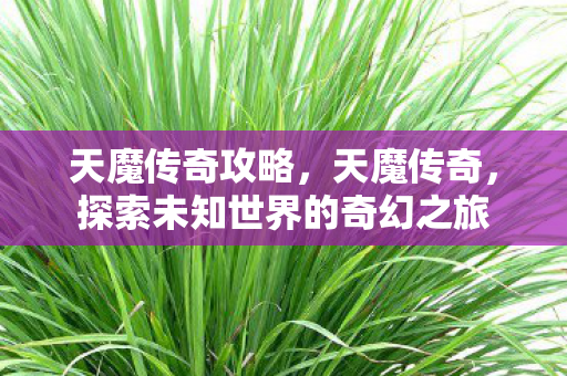 天魔传奇攻略,天魔传奇,探索未知世界的奇幻之旅 天魔传奇攻略,天魔传奇,探索未知世界的奇幻之旅