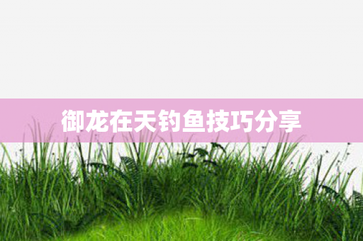 御龙在天钓鱼技巧分享